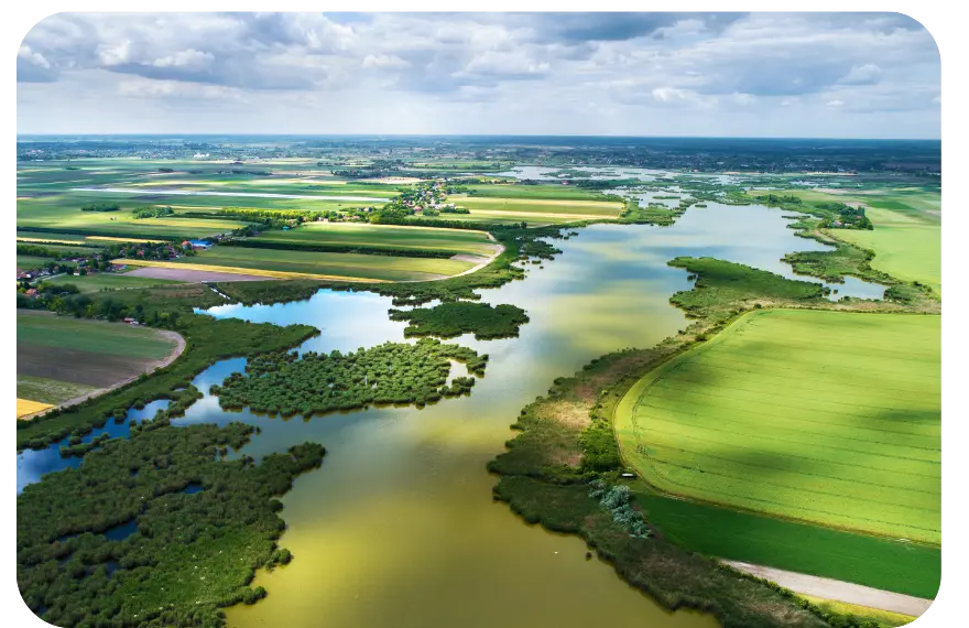 LP image + texte (4)