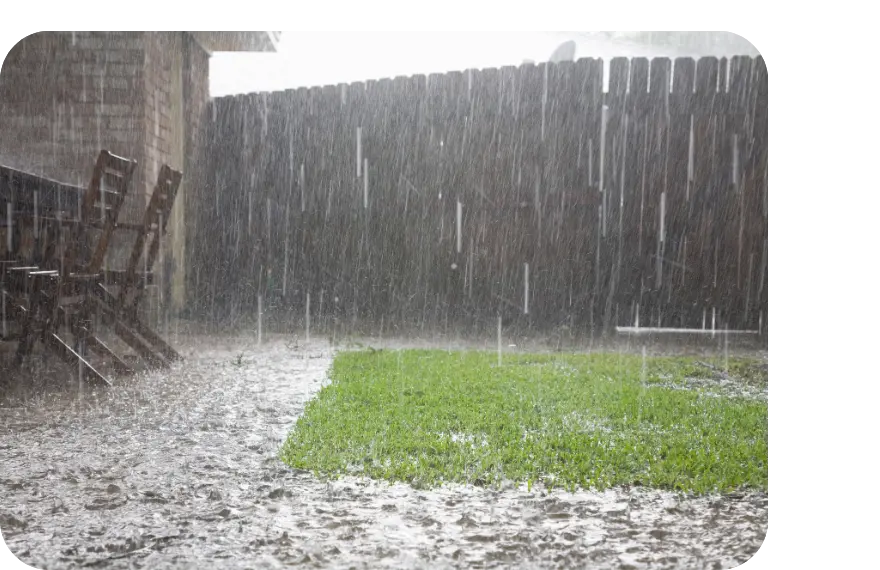 LP image + texte (5)