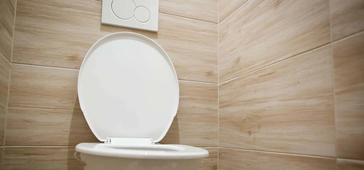 Des toilettes classiques dans une pièce pour wc séparé