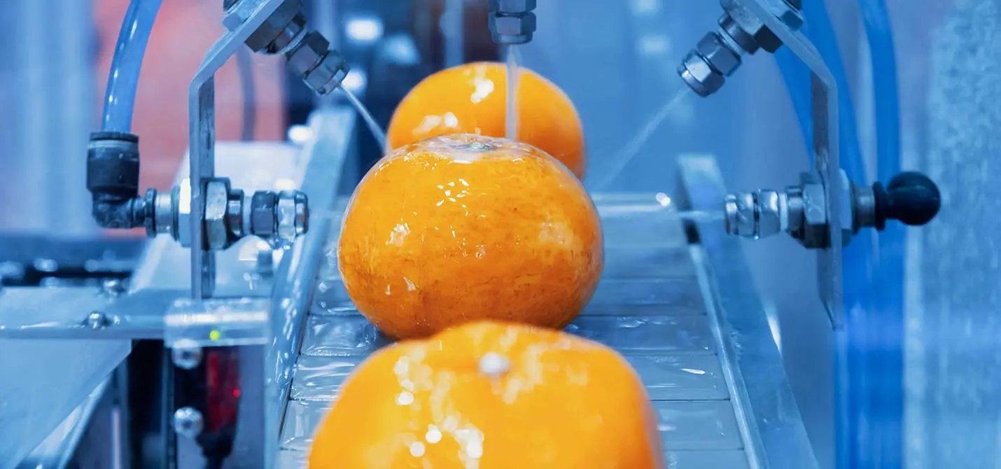 de l’eau pulvérisée sur des oranges pour les nettoyer des produits chimiques