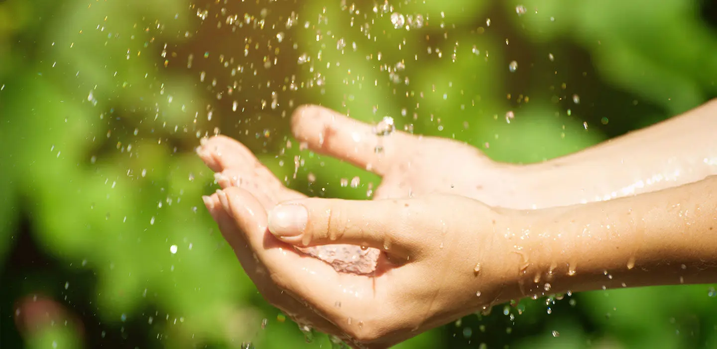 mains qui récoltent l'eau de pluie