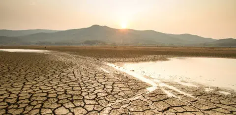 terres craquées par le soleil