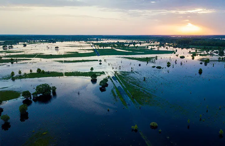 les zones humides sont efficaces pour les inondations