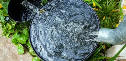 récupération eau de pluie dans un seau grâce à la toiture