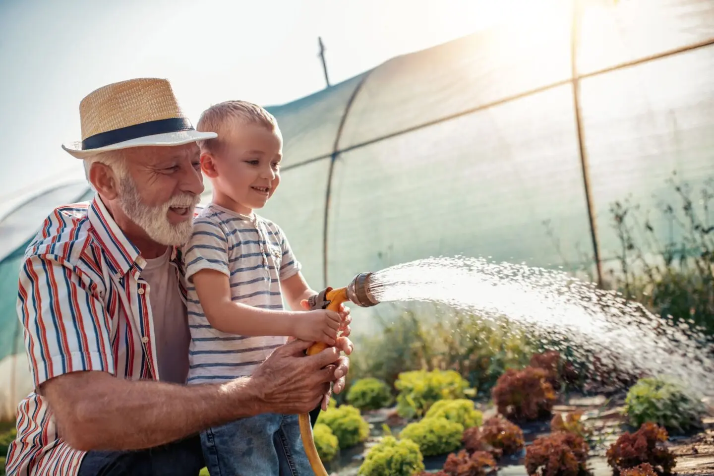un vieux monsieur arrose les plantes avec sont petit-enfant