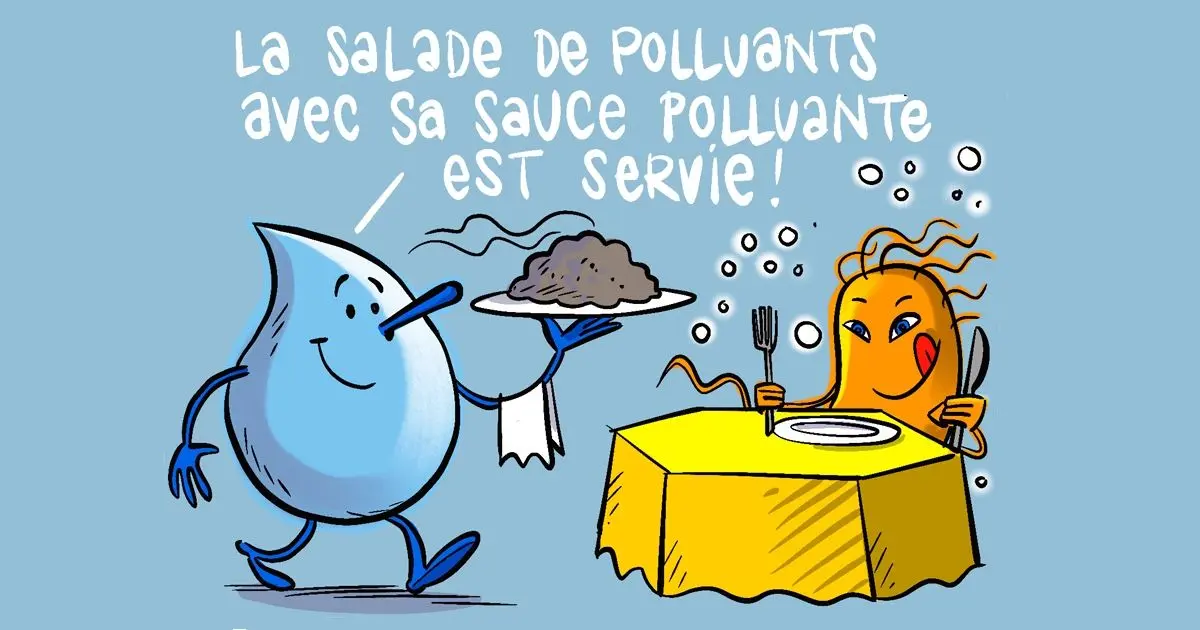 la goutte d'eau amène des polluants à la bactérie aérobie "la salade de polluants avec sa sauce polluante est servie"