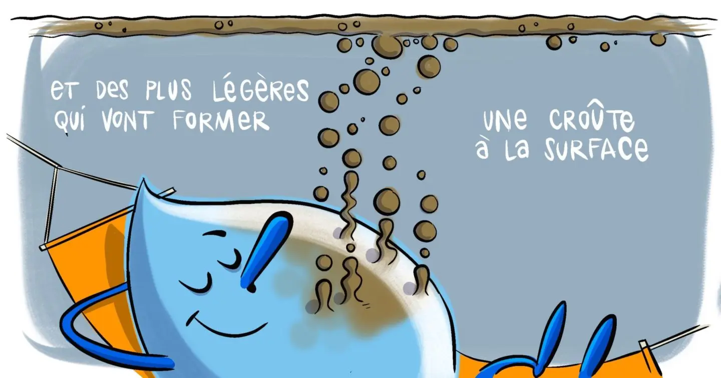 "et des plus légères qui vont former une croûte à la surface"