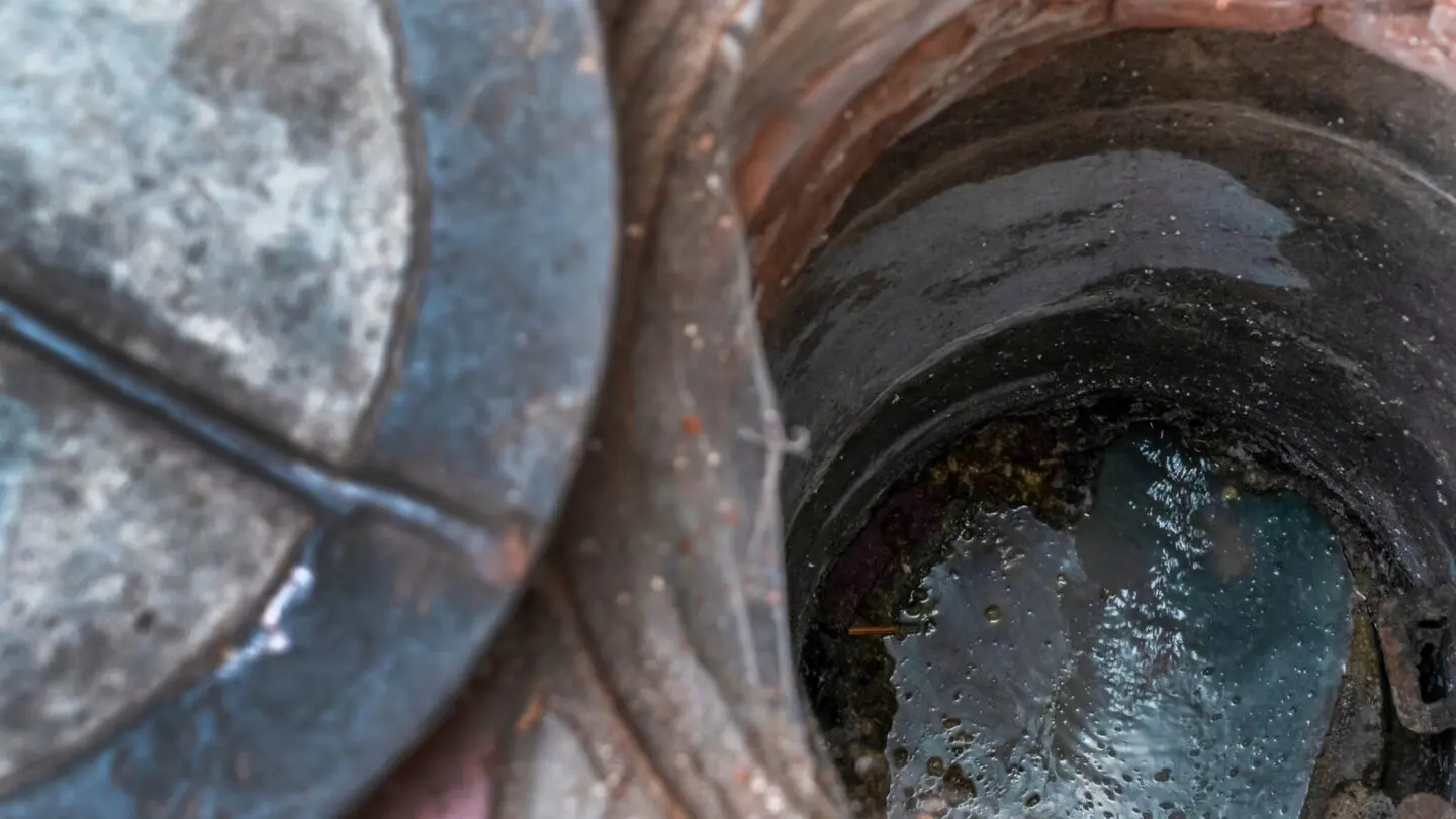 l'intérieur d'une fosse septique