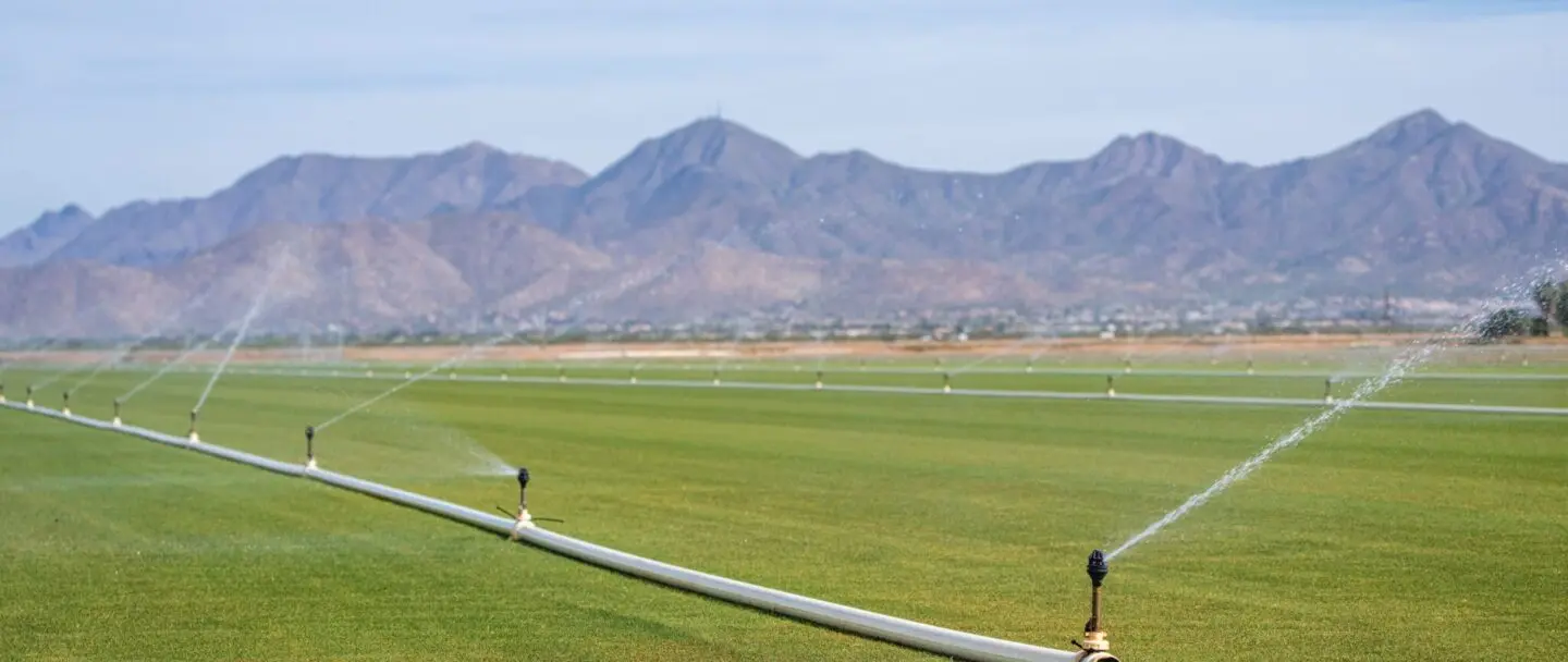 jet d'eau pour arroser un jardin