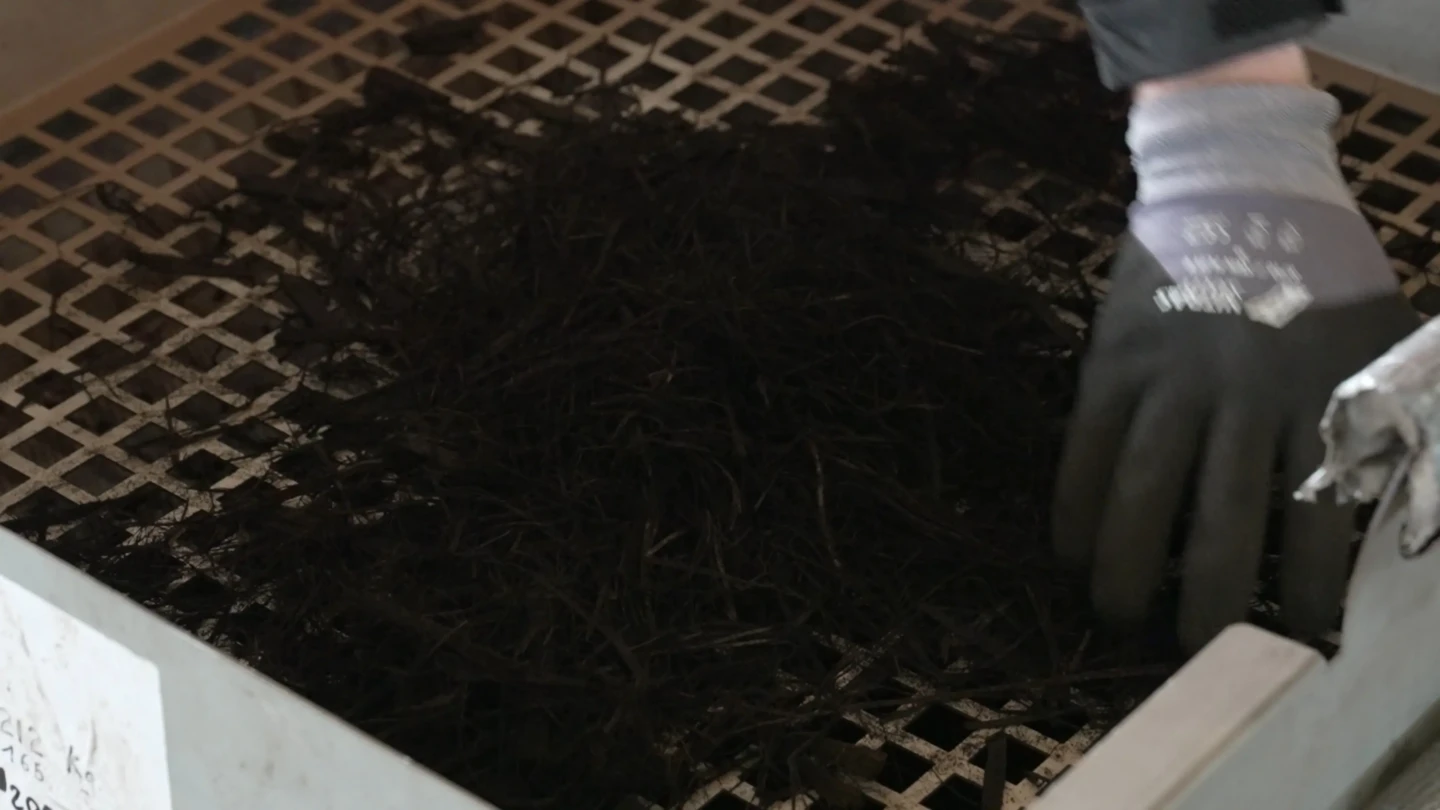 Episode 1 V4.mp4_snapshot_01.39.733