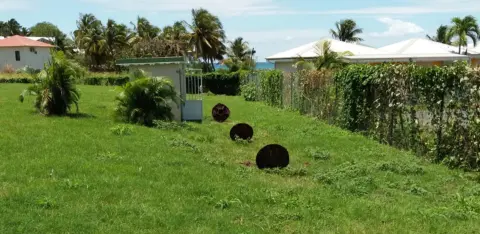 service entretien fosse