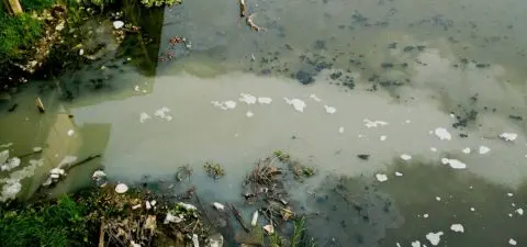 des eaux usées grises et noires rejetées dans la nature sans traitement