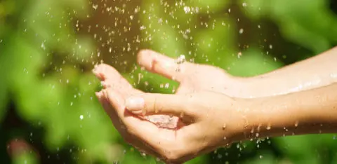 récolter l'eau de pluie