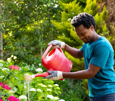 récupération eau de pluie