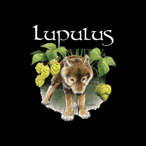 447657834_772625428380580_2926278860185850167_n