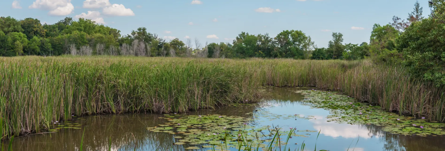 Design sans titre (3)