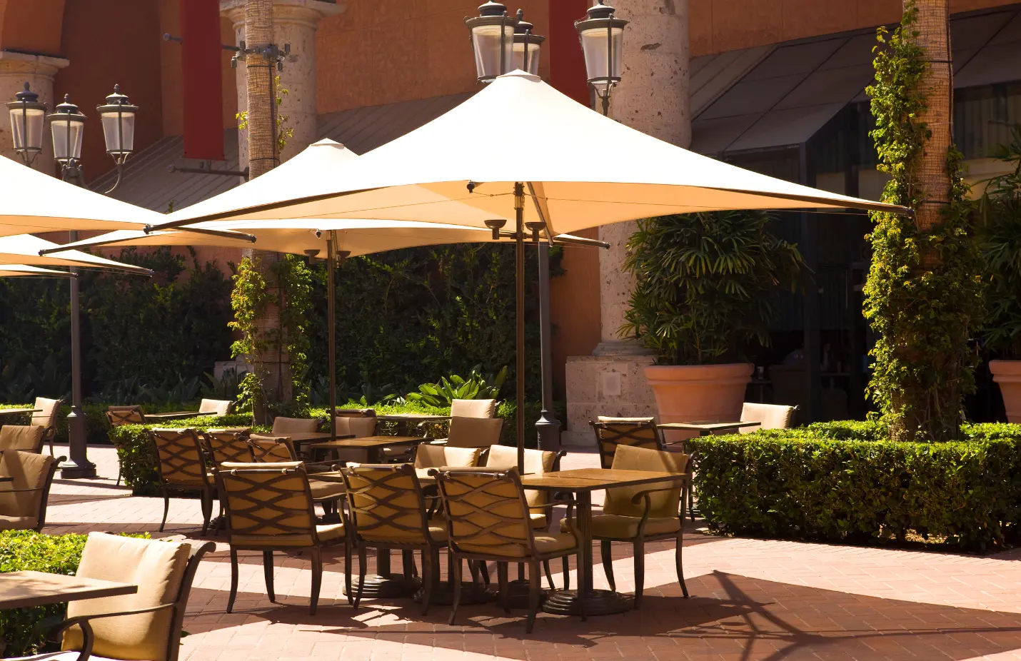 Texte + Image - LP (1)