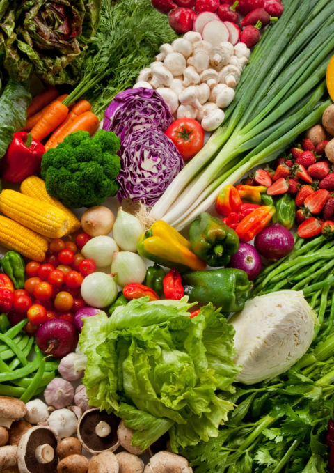 agroalimenatire vertical